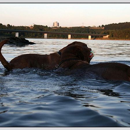 Bungalow Direkt Am Wasser Zeulenroda-Triebes Zewnętrze zdjęcie